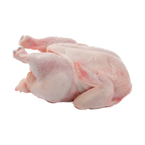 Chicken Meat